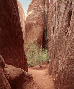 R. Geoffrey Blackburn Arches Park paintings 2