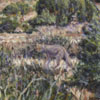 R. Geoffrey Blackburn Sedona Burbs oil painting index-1