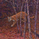 R. Geoffrey Blackburn Stalking Cougar oil painting detail