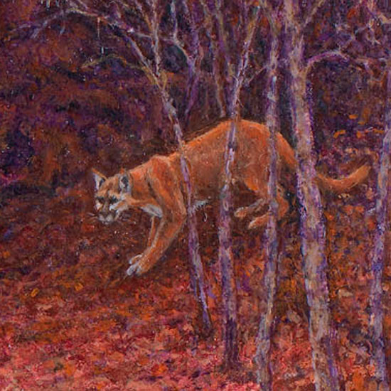 R. Geoffrey Blackburn-Stalking Cougar  detail-2