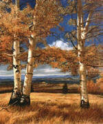 Moab oil paintings 6